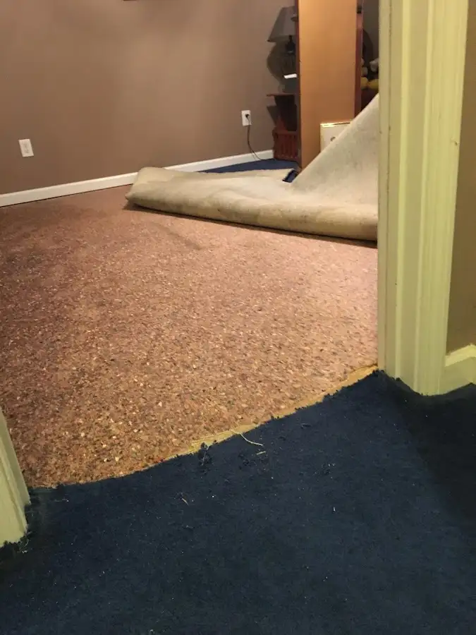 Carpet pad removal revealing water damage during Water Mitigation Services in Sparks